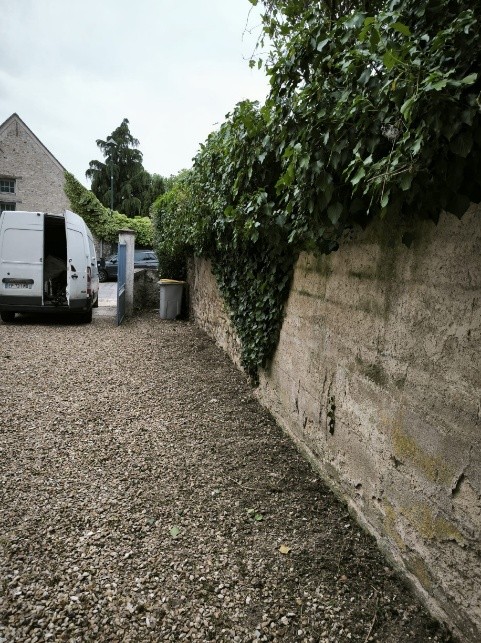Taille et entretien d'un jardin paysager