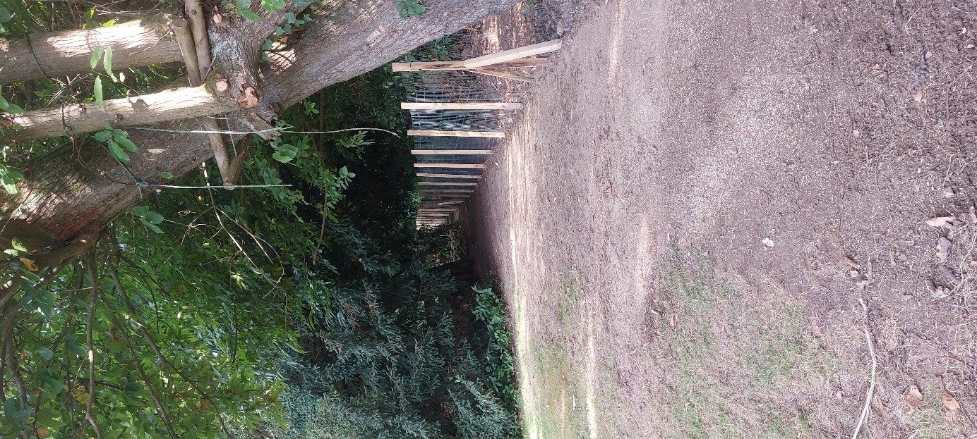 Clôture en lames de bois
