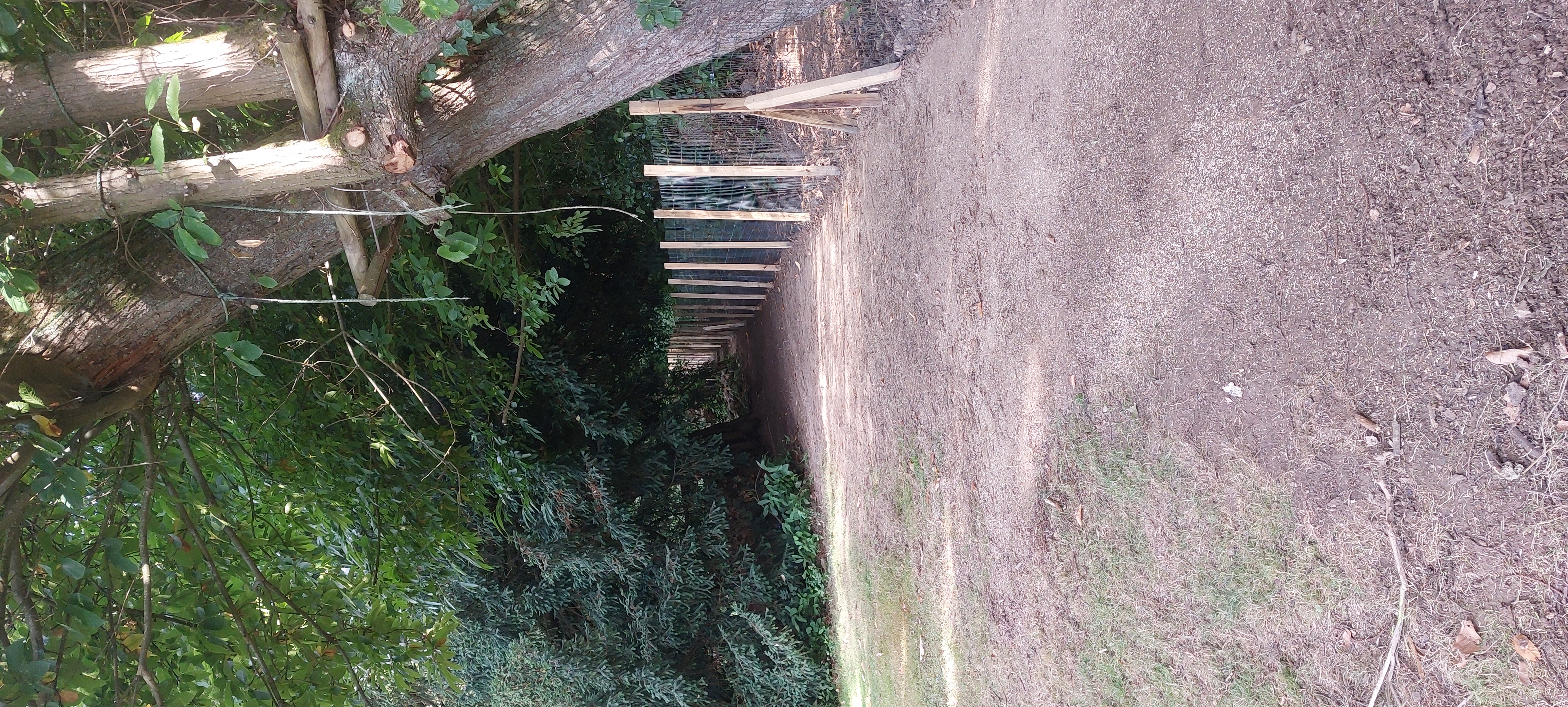 Clôtures & délimitations extérieures